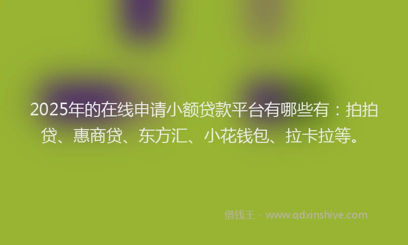 2025年的在线申请小额贷款平台有哪些有：拍拍贷、惠商贷、东方汇、小花钱包、拉卡拉等。