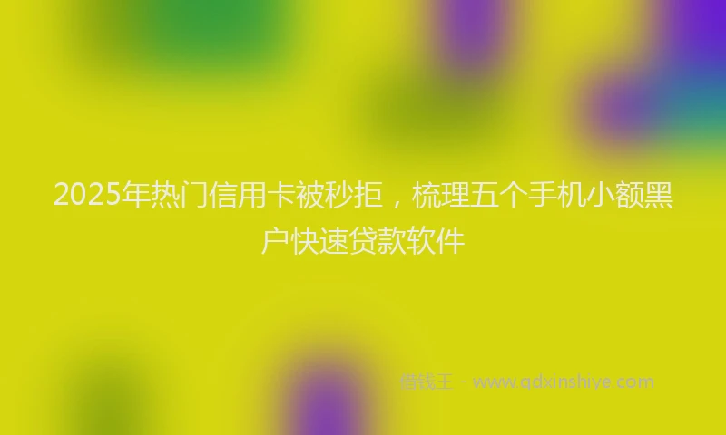 2025年热门信用卡被秒拒，梳理五个手机小额黑户快速贷款软件