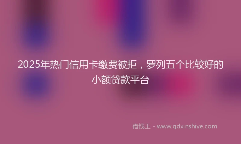 2025年热门信用卡缴费被拒，罗列五个比较好的小额贷款平台