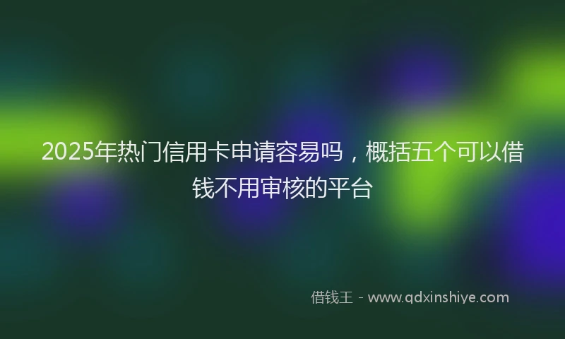 2025年热门信用卡申请容易吗，概括五个可以借钱不用审核的平台