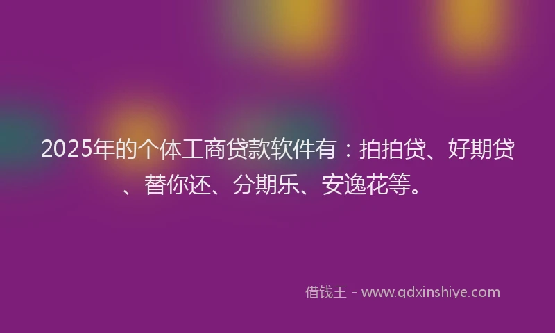2025年的个体工商贷款软件有：拍拍贷、好期贷、替你还、分期乐、安逸花等。