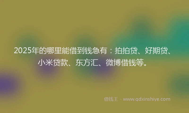 2025年的哪里能借到钱急有：拍拍贷、好期贷、小米贷款、东方汇、微博借钱等。