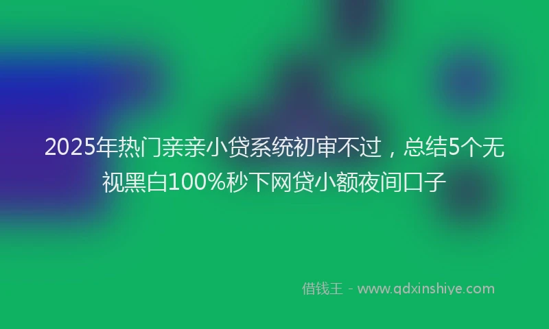 2025年热门亲亲小贷系统初审不过，总结5个无视黑白100%秒下网贷小额夜间口子