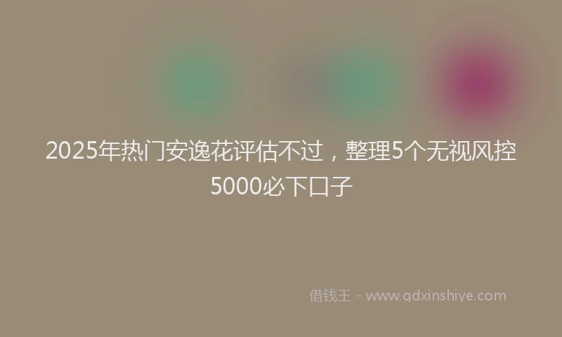 2025年热门安逸花评估不过，整理5个无视风控5000必下口子