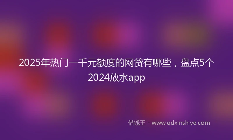 2025年热门一千元额度的网贷有哪些，盘点5个2024放水app