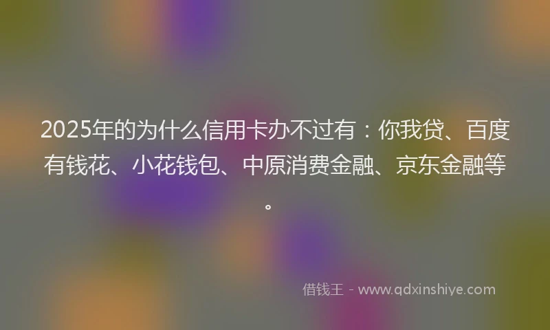2025年的为什么信用卡办不过有：你我贷、百度有钱花、小花钱包、中原消费金融、京东金融等。