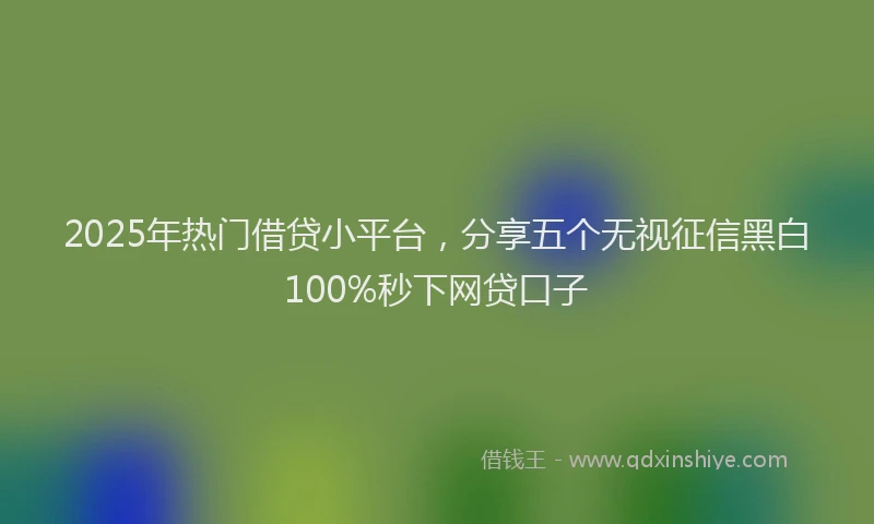 2025年热门借贷小平台，分享五个无视征信黑白100%秒下网贷口子
