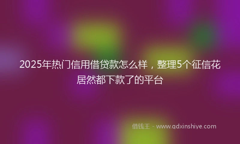 2025年热门信用借贷款怎么样，整理5个征信花居然都下款了的平台