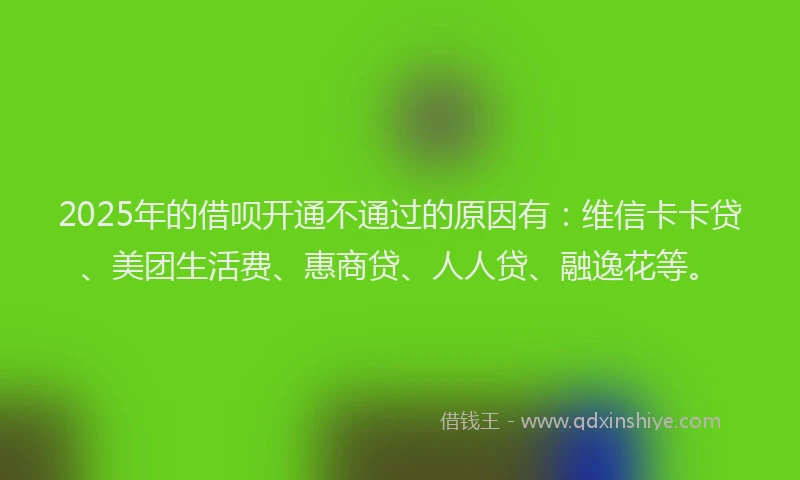 2025年的借呗开通不通过的原因有：维信卡卡贷、美团生活费、惠商贷、人人贷、融逸花等。