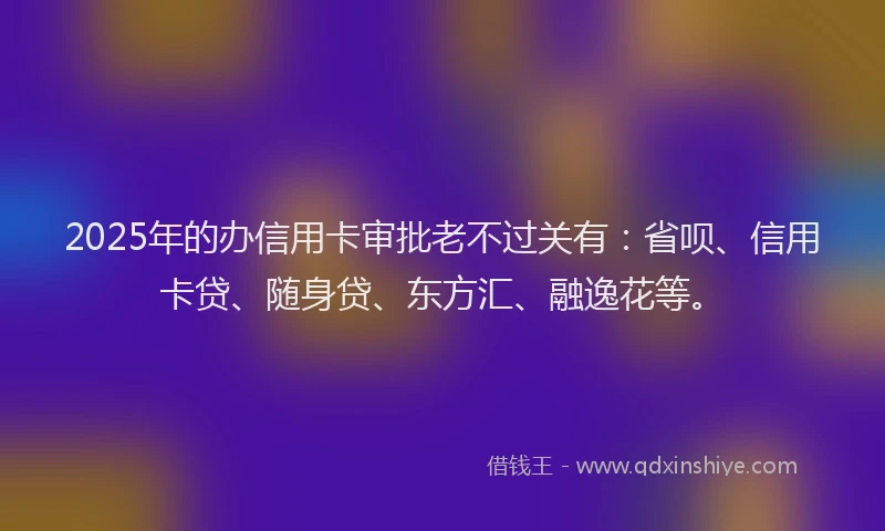 2025年的办信用卡审批老不过关有：省呗、信用卡贷、随身贷、东方汇、融逸花等。