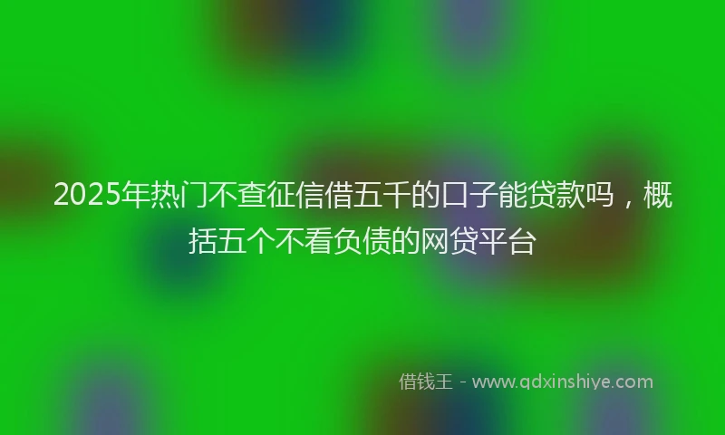 2025年热门不查征信借五千的口子能贷款吗，概括五个不看负债的网贷平台