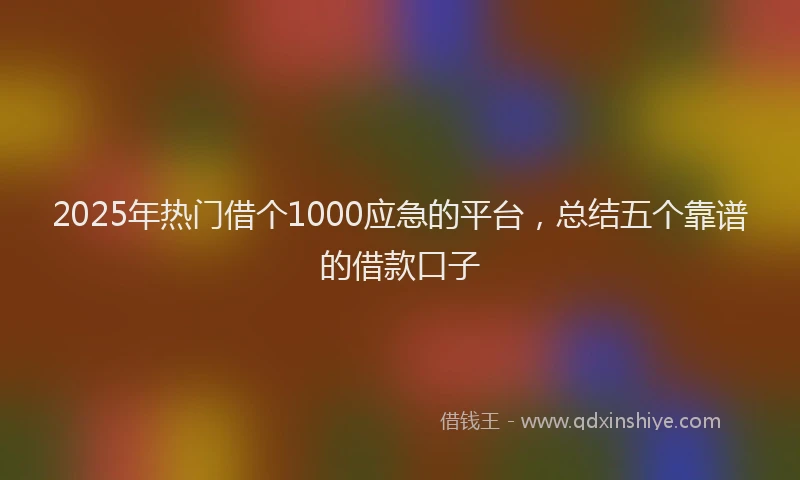 2025年热门借个1000应急的平台，总结五个靠谱的借款口子