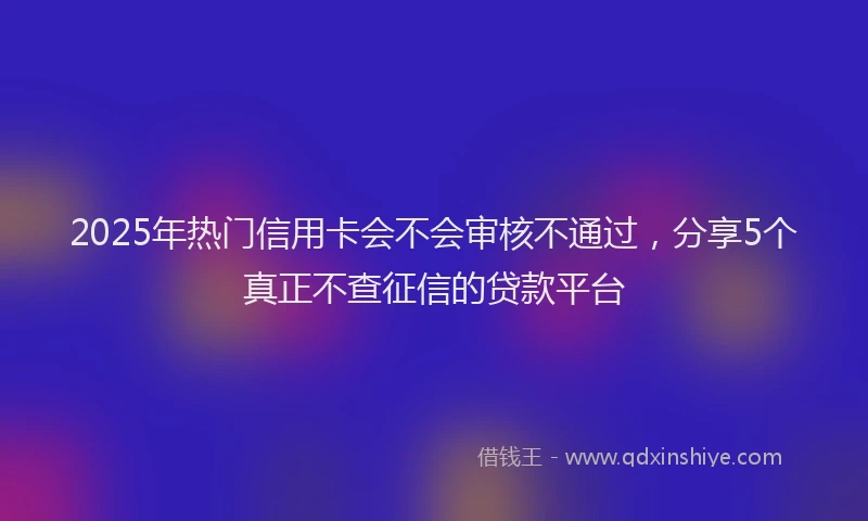 2025年热门信用卡会不会审核不通过，分享5个真正不查征信的贷款平台