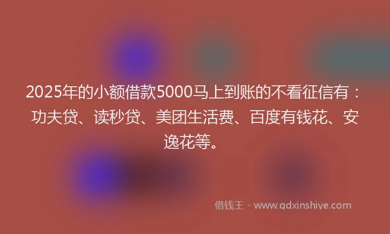 2025年的小额借款5000马上到账的不看征信有：功夫贷、读秒贷、美团生活费、百度有钱花、安逸花等。
