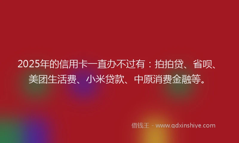 2025年的信用卡一直办不过有：拍拍贷、省呗、美团生活费、小米贷款、中原消费金融等。
