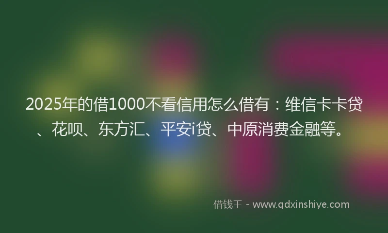 2025年的借1000不看信用怎么借有：维信卡卡贷、花呗、东方汇、平安i贷、中原消费金融等。