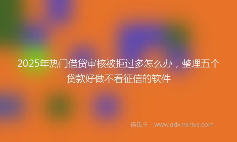 2025年热门借贷审核被拒过多怎么办，整理五个贷款好做不看征信的软件