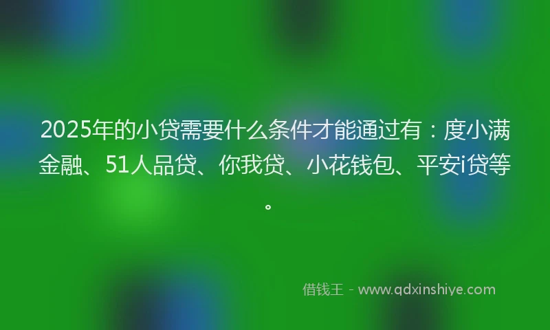 2025年的小贷需要什么条件才能通过有：度小满金融、51人品贷、你我贷、小花钱包、平安i贷等。