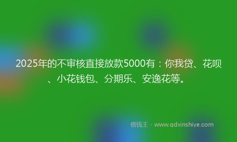 2025年的不审核直接放款5000有：你我贷、花呗、小花钱包、分期乐、安逸花等。