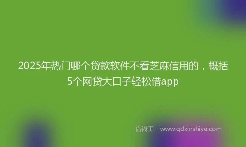 2025年热门哪个贷款软件不看芝麻信用的，概括5个网贷大口子轻松借app