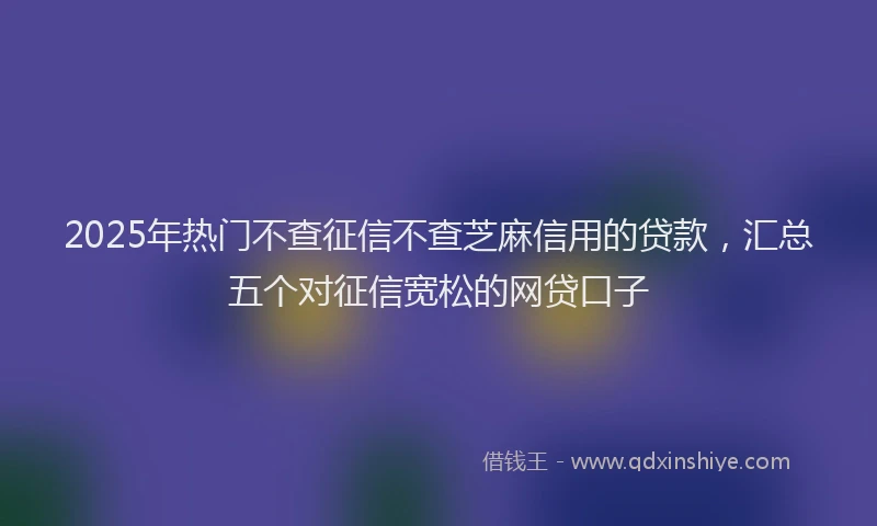 2025年热门不查征信不查芝麻信用的贷款，汇总五个对征信宽松的网贷口子