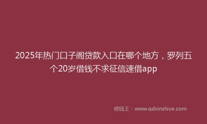 2025年热门口子阁贷款入口在哪个地方，罗列五个20岁借钱不求征信速借app
