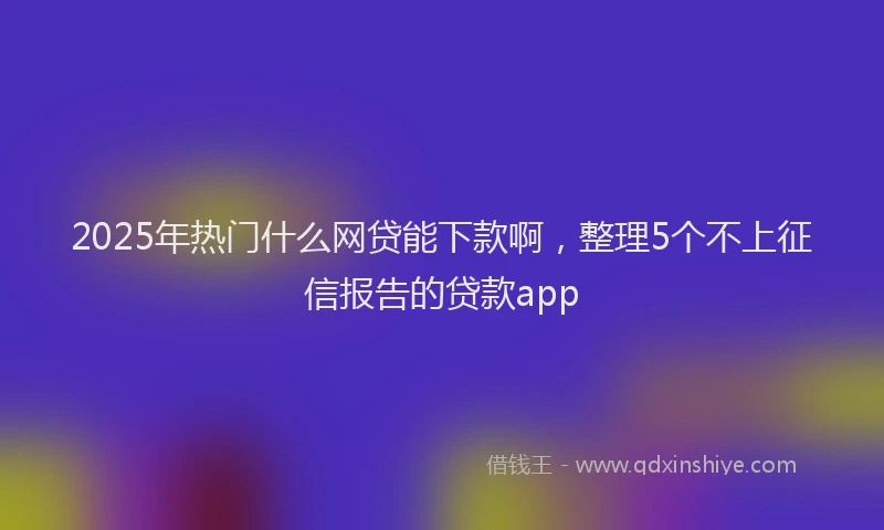 2025年热门什么网贷能下款啊，整理5个不上征信报告的贷款app