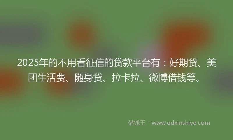 2025年的不用看征信的贷款平台有：好期贷、美团生活费、随身贷、拉卡拉、微博借钱等。