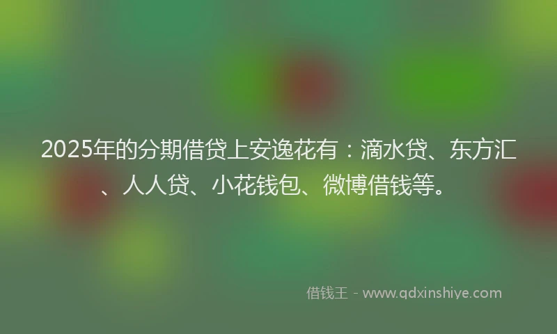2025年的分期借贷上安逸花有：滴水贷、东方汇、人人贷、小花钱包、微博借钱等。