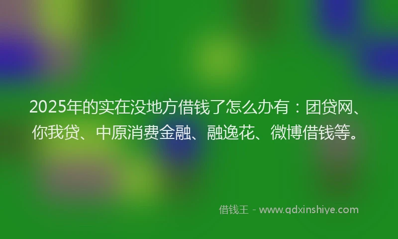 2025年的实在没地方借钱了怎么办有：团贷网、你我贷、中原消费金融、融逸花、微博借钱等。