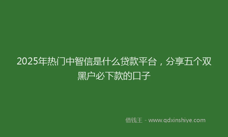 2025年热门中智信是什么贷款平台，分享五个双黑户必下款的口子