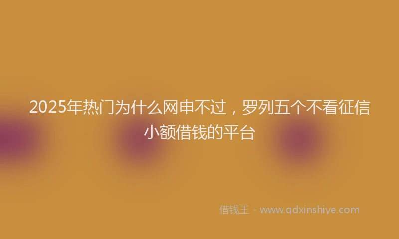 2025年热门为什么网申不过，罗列五个不看征信小额借钱的平台
