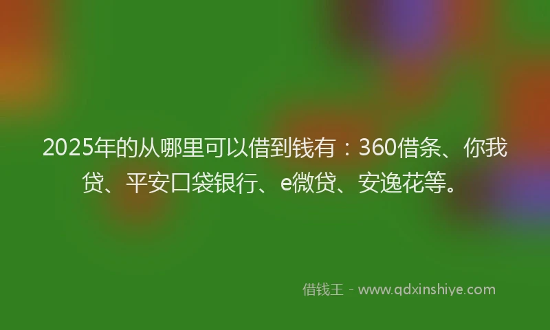 2025年的从哪里可以借到钱有：360借条、你我贷、平安口袋银行、e微贷、安逸花等。