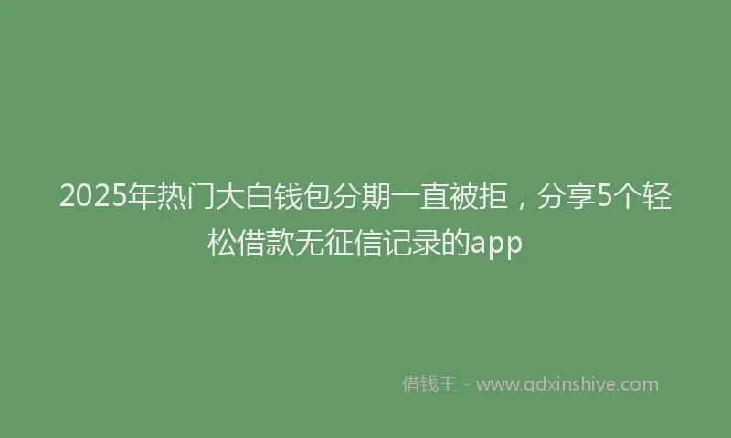 2025年热门大白钱包分期一直被拒，分享5个轻松借款无征信记录的app