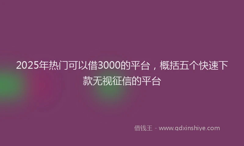 2025年热门可以借3000的平台，概括五个快速下款无视征信的平台