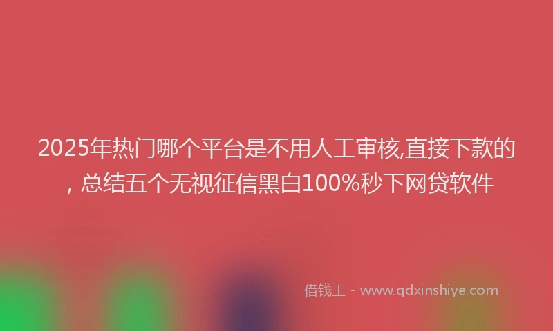 2025年热门哪个平台是不用人工审核,直接下款的，总结五个无视征信黑白100%秒下网贷软件