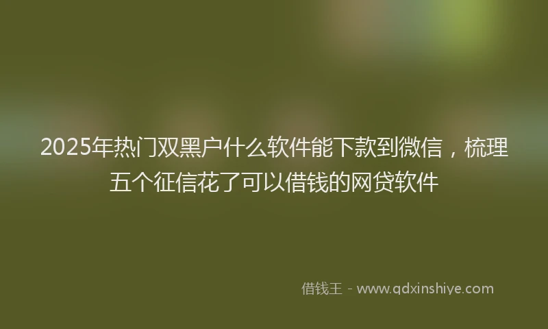 2025年热门双黑户什么软件能下款到微信，梳理五个征信花了可以借钱的网贷软件