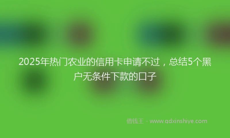 2025年热门农业的信用卡申请不过，总结5个黑户无条件下款的口子