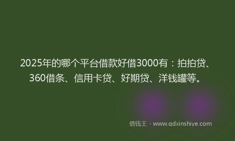 2025年的哪个平台借款好借3000有：拍拍贷、360借条、信用卡贷、好期贷、洋钱罐等。