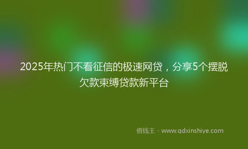 2025年热门不看征信的极速网贷，分享5个摆脱欠款束缚贷款新平台