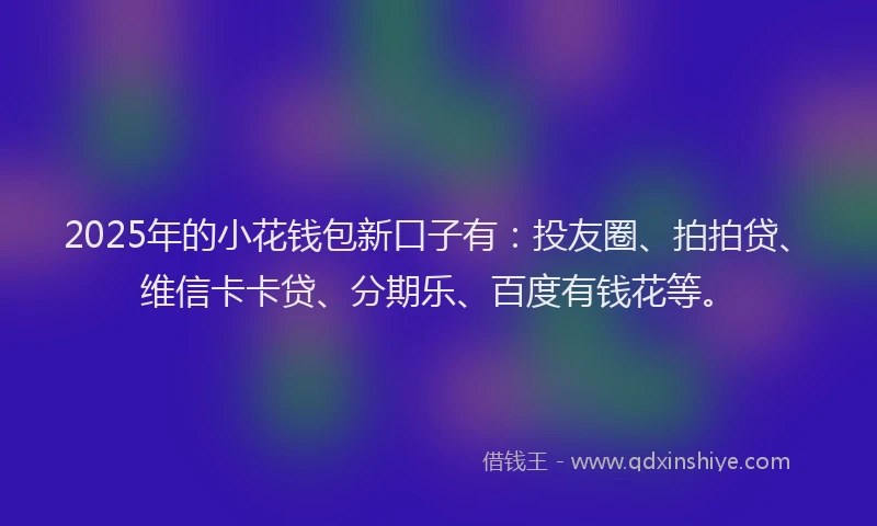 2025年的小花钱包新口子有：投友圈、拍拍贷、维信卡卡贷、分期乐、百度有钱花等。