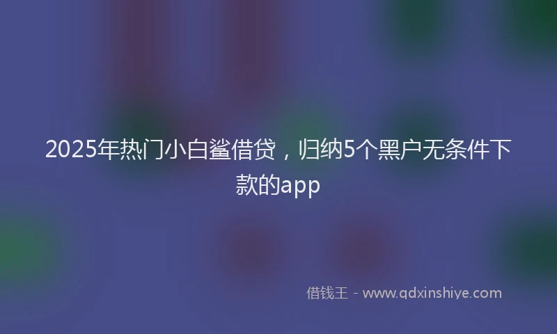 2025年热门小白鲨借贷，归纳5个黑户无条件下款的app