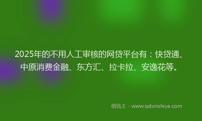2025年的不用人工审核的网贷平台有：快贷通、中原消费金融、东方汇、拉卡拉、安逸花等。