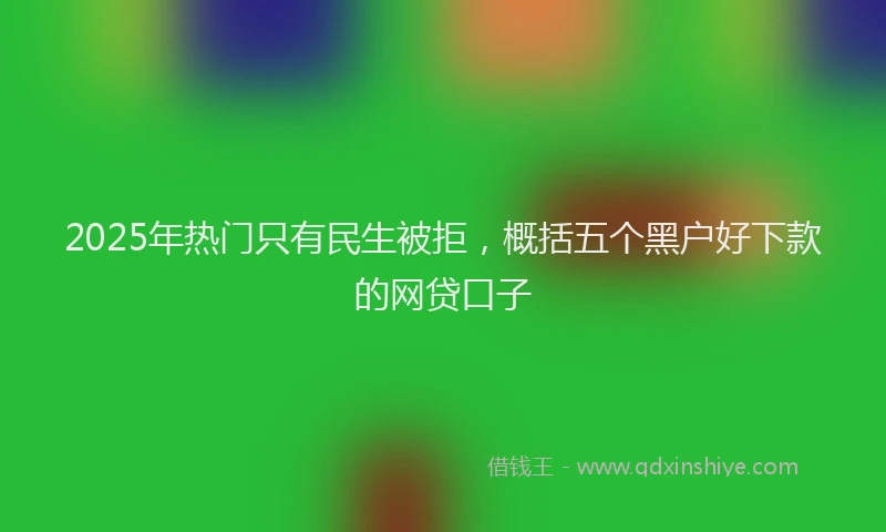 2025年热门只有民生被拒，概括五个黑户好下款的网贷口子