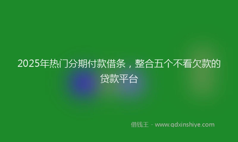 2025年热门分期付款借条，整合五个不看欠款的贷款平台