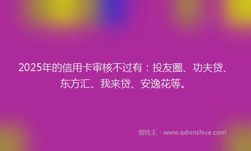 2025年的信用卡审核不过有：投友圈、功夫贷、东方汇、我来贷、安逸花等。