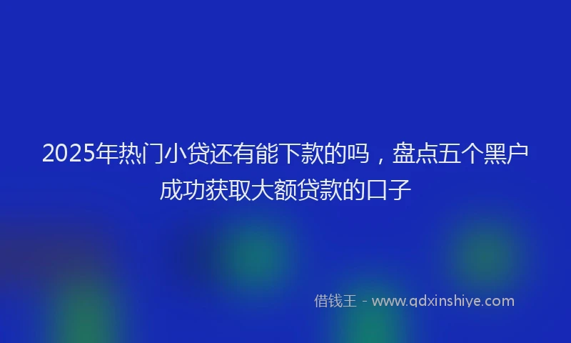 2025年热门小贷还有能下款的吗,盘点五个黑户成功获取大额贷款的口子