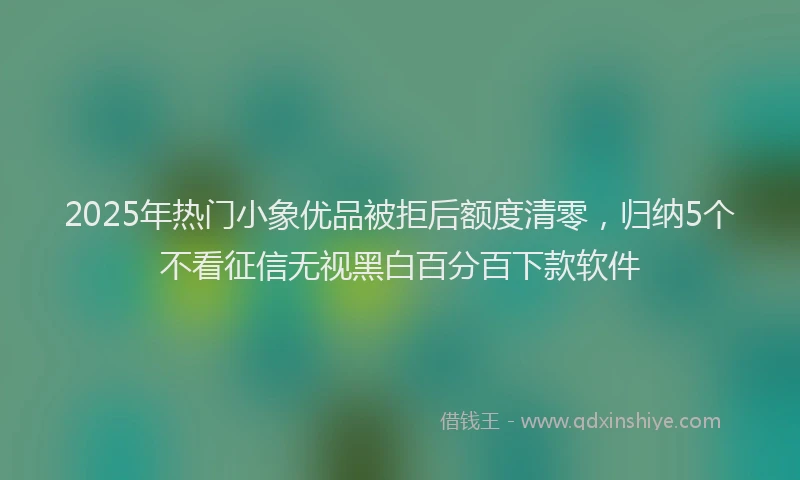 2025年热门小象优品被拒后额度清零，归纳5个不看征信无视黑白百分百下款软件