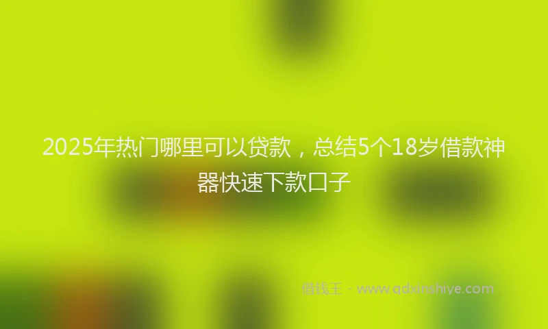 2025年热门哪里可以贷款，总结5个18岁借款神器快速下款口子