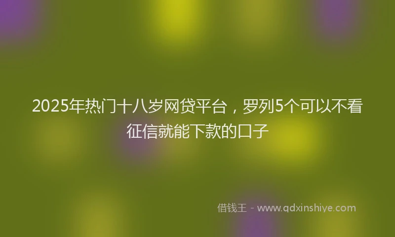2025年热门十八岁网贷平台，罗列5个可以不看征信就能下款的口子
